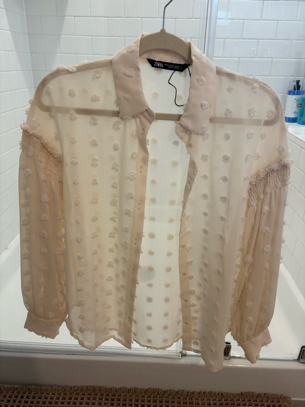 Zara Sheer Cream Swiss-Dot Button Blouse